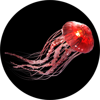 3d Rendering Of Pink Jellyfish Isolated On Black Sticker
