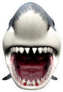 3D Shark Open Mouth Sticker