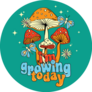 70s Groovy Themed Growing Today Mushroom Sticker