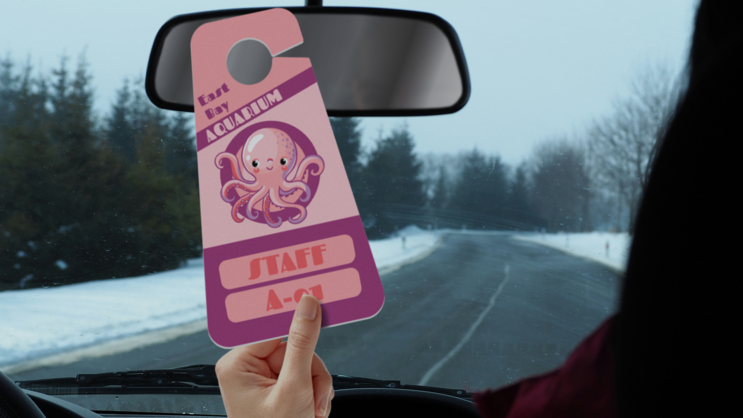 Multi Color Triangle Employee Parking Permit Hang Tag C