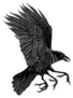 A Black And White Illustration Of A Three-legged Crow Sticker