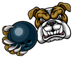 A Bulldog Dog Angry With Bowling Ball Sticker