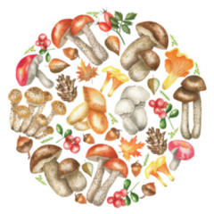 A Circle Of Edible Mushrooms Watercolor Sticker