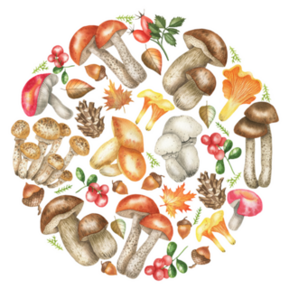 A Circle Of Edible Mushrooms Watercolor Sticker