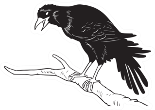 A Crow Standing On A Tree Branch Sketch Sticker