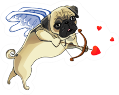 A Cute Pug Dog Cupid With Heart Bow And Arrow Sticker