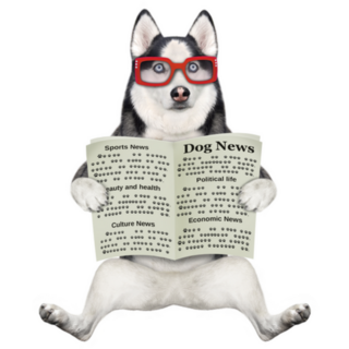 A Dog Husky In Glasses Reading Newspaper Sticker