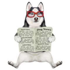 A Dog Husky In Glasses Reading Newspaper Sticker