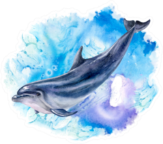 A Dolphin Realistic And Abstract Marine Watercolor Sticker