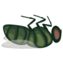 A Green Dead Fly Insect Sticker