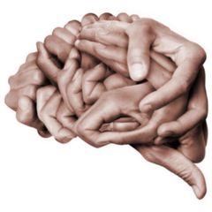 A Human Brain Made With Hands Sticker