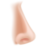 A Human Nose Body Part Sticker