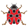 A Ladybug Seen From Above Shapes Sticker