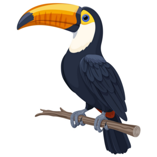A Large Toucan Sticker
