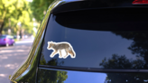 A Lone Coyote Sticker on a Rear Car Window (New) example