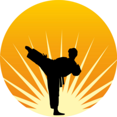 A Man Practices In Karate On A Sun Sticker