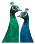 A Pair Of Beautiful Peacocks Sticker