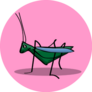 A Pink Grasshopper In Cartoon Style Sticker 