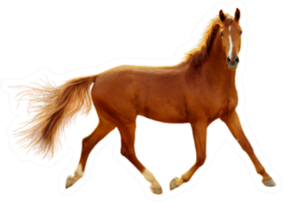 A Red Horse In Contour Light Is Trotting Freely Sticker
