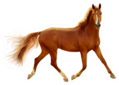 A Red Horse In Contour Light Is Trotting Freely Sticker