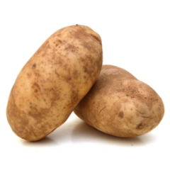 A Russet Potato idaho Sticker
