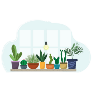 A Set Of House Plant Standing Near The Window Sticker