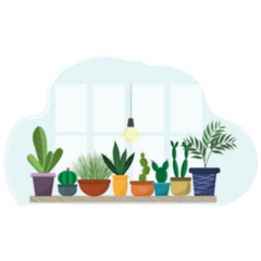 A Set Of House Plant Standing Near The Window Sticker