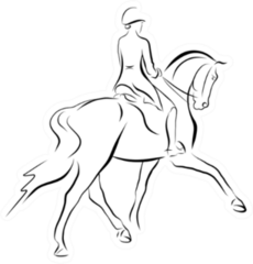 A Sketch Of A Dressage Rider On A Horse Sticker
