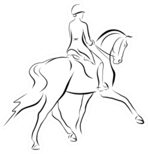 A Sketch Of A Dressage Rider On A Horse Sticker
