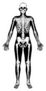 A Stylised Unisex Human Figure Skeleton Sticker