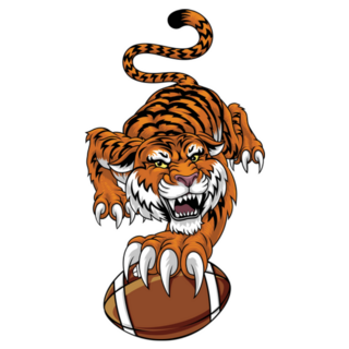 A Tiger Holding American Football Sticker