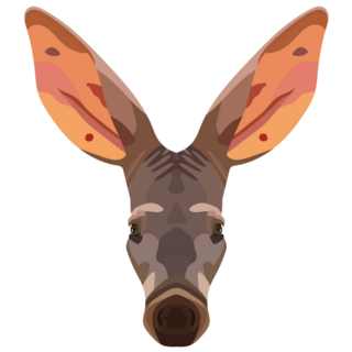 Aardvark Face Illustration Sticker