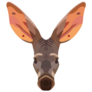 Aardvark Face Illustration Sticker