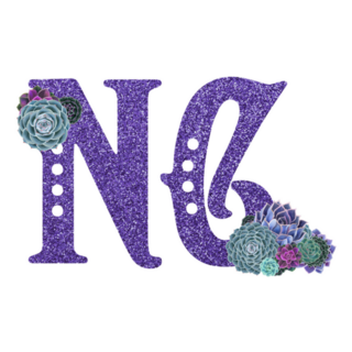 Abbreviation Of The State North Carolina Glitter Sticker