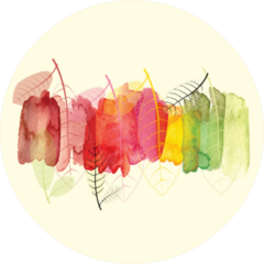 Abstract Background With Leaves To Show Seasons Sticker