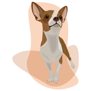 Abstract Chihuahua Sticker