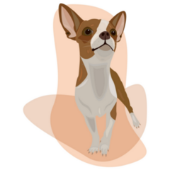 Abstract Chihuahua Sticker