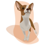Abstract Chihuahua Sticker