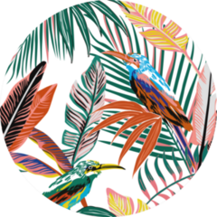 Abstract Color Tropical Birds In The Jungle Sticker