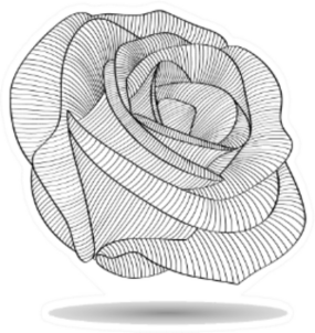 Abstract Flower Rose Floral Element Sticker