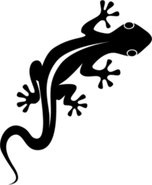 Abstract Gecko Lizard with Big Eyes Sticker