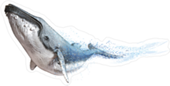 Abstract Humpback Whale Sticker