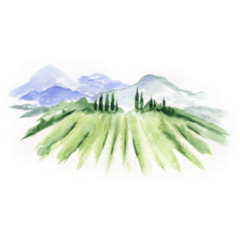 Abstract Landscape With Vineyard Italy Watercolor Sticker