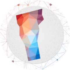 Abstract Map Of Vermont Geometric Style Poster Sticker