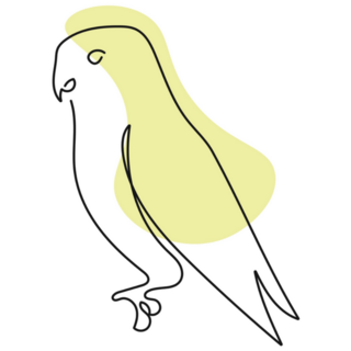 Abstract Parakeet Sticker