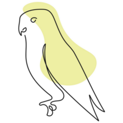 Abstract Parakeet Sticker