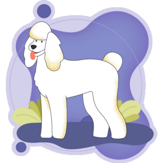 Abstract Poodle Sticker