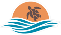 Abstract Sunrise Turtle Sticker