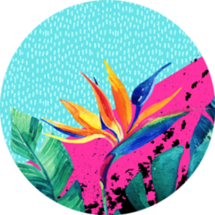 Abstract Tropical Summer Design Sticker