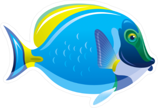 Acanthurus Surgeon Fish Sticker